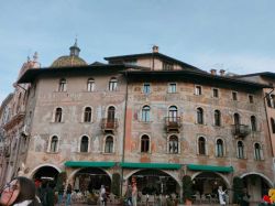Muse (13)